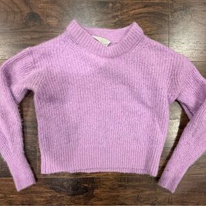 Everlane Alpaca Crewneck Lavender Sweater